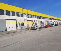 Cerco capannone CESANO BOSCONE mq250 Professionale