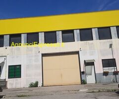 Cerco capannone CESANO BOSCONE mq250 Professionale