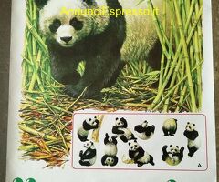 POSTER IL PANDA